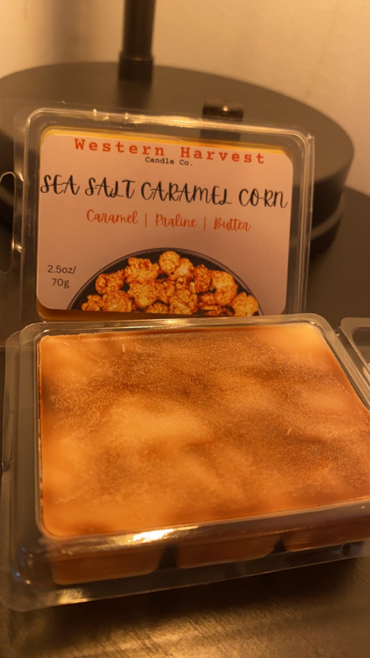 Sea Salt Caramel Corn 2.5oz wax melt.